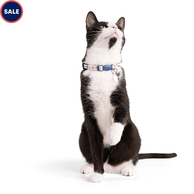 BOBS from Skechers Pawsitive Cat Collar Petco