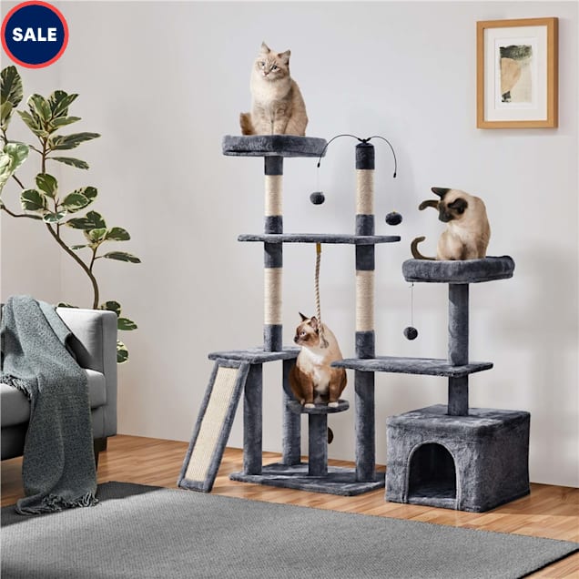 Petco cat trees deals for large cats