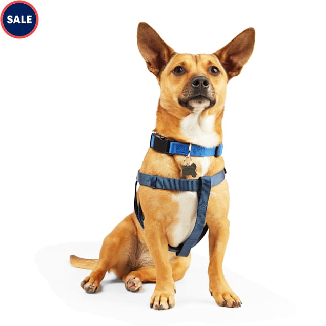 YOULY Blue Dog Harness, XSmall Petco