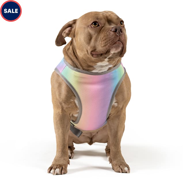 Canada Pooch Rainbow Chill Seeker Cooling Dog Vest, X-Small - Carousel image #1
