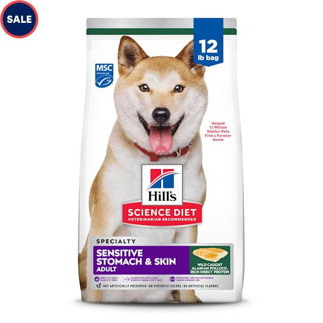 Best food for husky with clearance sensitive stomach