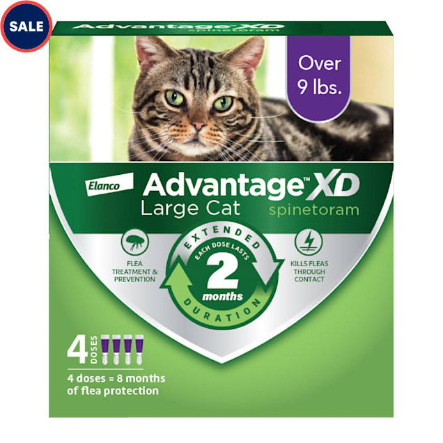 Advantage XD 4 Topical Doses 2 Months of Protection Per Dose Flea Prevention Treatment For Large Cats over 9 lbs