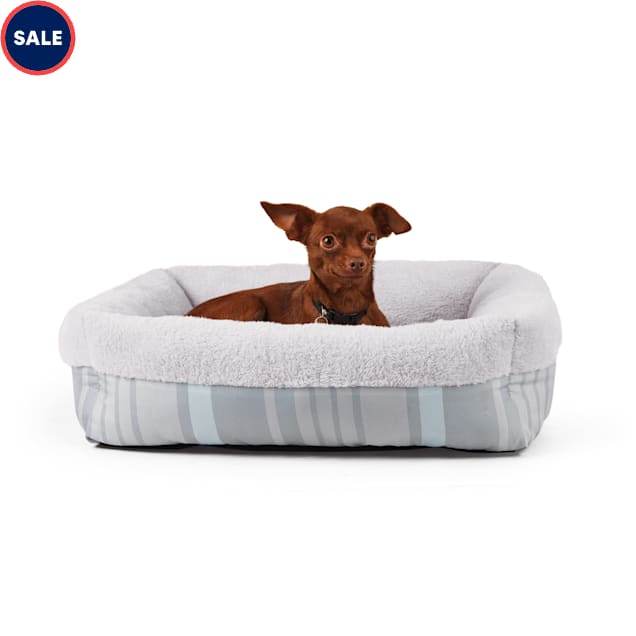 EveryYay Essentials Nester Dog Bed, 21" L X 21" W X 6" H, Grey Petco