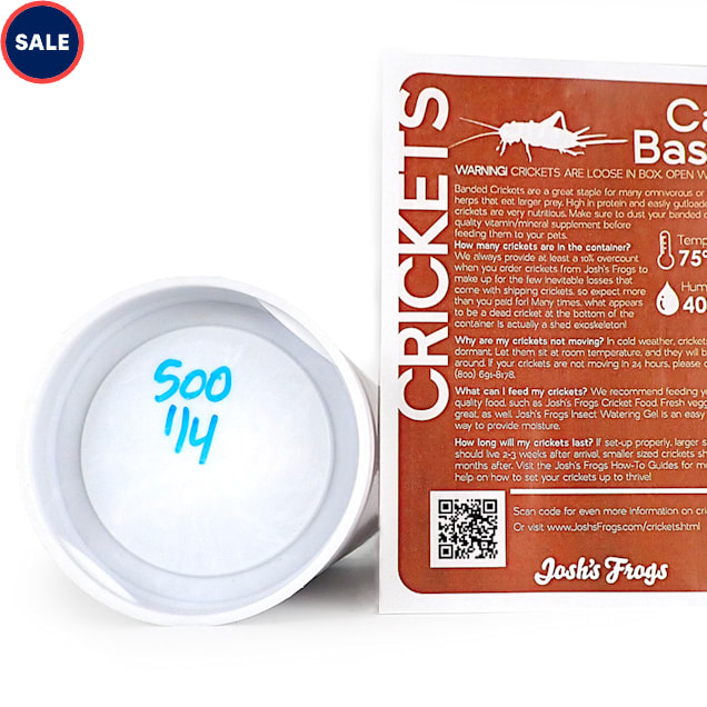 Banded Crickets 1/4", 500 Count Petco