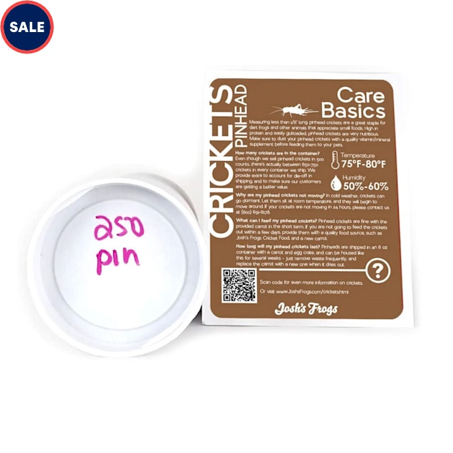 Banded Crickets Pinhead, 250 Count Petco