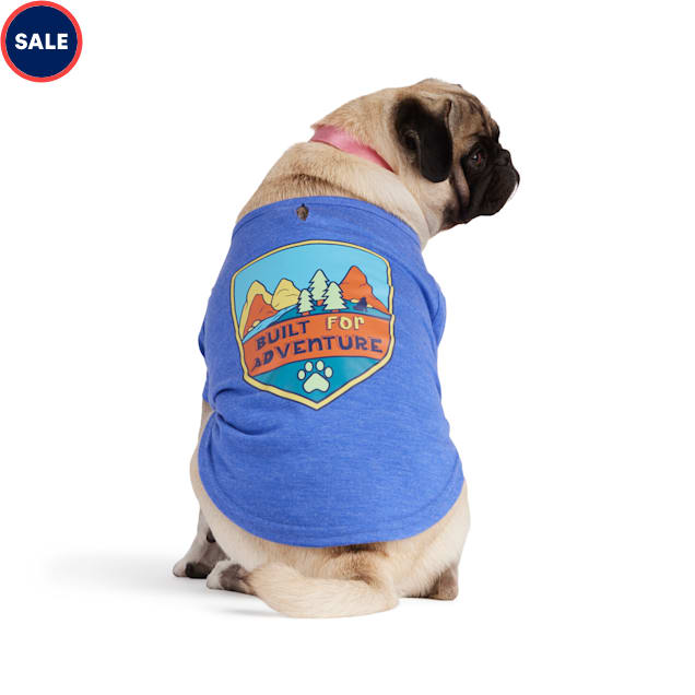 YOULY Adventure Tee for Dogs, Small, Blue Petco