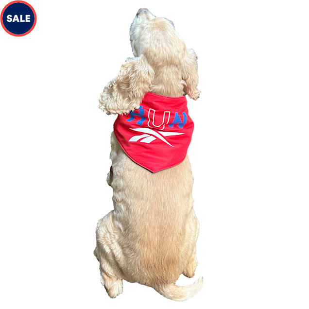 Petco dog sale run