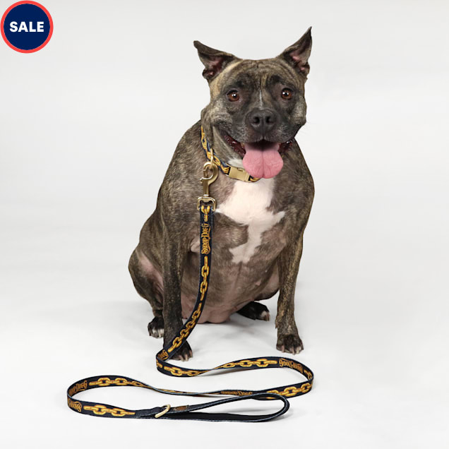 Dogs off 2024 chains