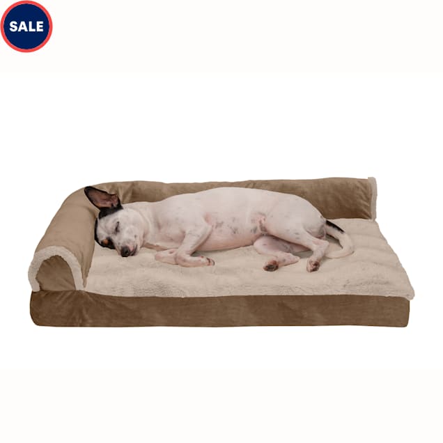 Halo dog hot sale bed petco