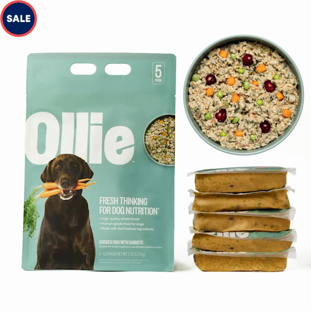 Ollie Fresh Chicken Dish with Carrots Fresh Frozen Dog Food, 5 lbs. - Carousel image #1