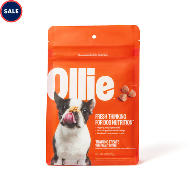 Ollie food dog store