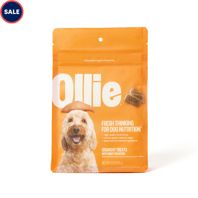 Crunchy dog treats deals