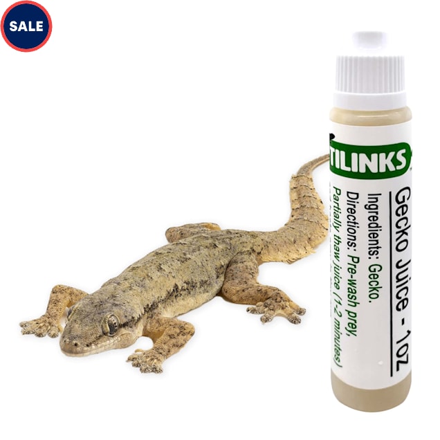 Crested gecko food petco cheap