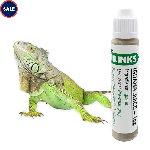 Iguana carrier shop