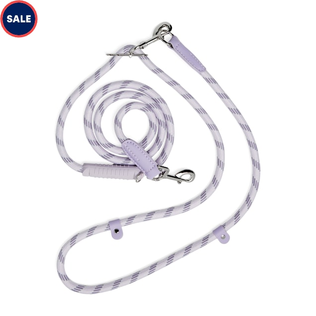 Petco hands free leash outlet