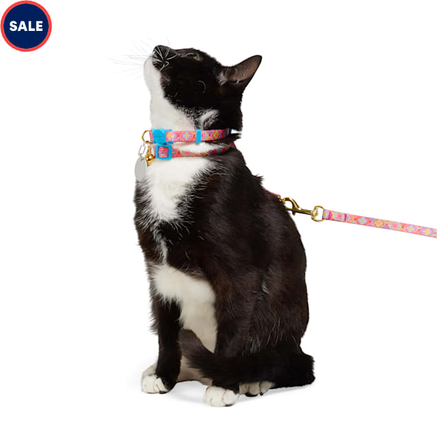 YOULY Cat Harness Set X Small