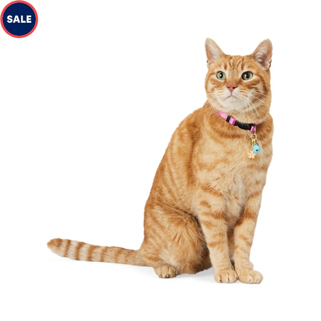 Hippie cat collar clearance