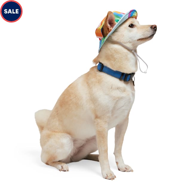YOULY Pride Reversible Bucket Hat for Dogs and Cats Small Medium Rainbow