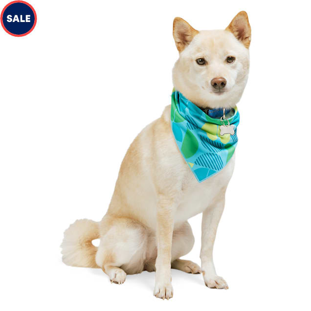 Petco dog bandanas 2025