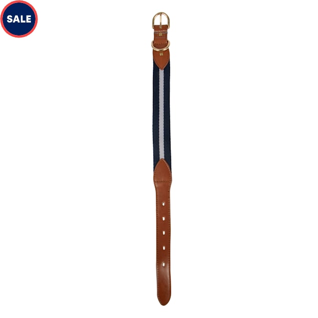 Harry Barker Duo Color Signature Stripe Dog Collar, Blue Piece, Small - Carousel image #1