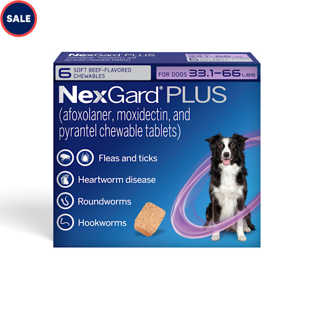 NexGard Plus Flea and Tick Protection Plus Heartworm Disease Preventive ...