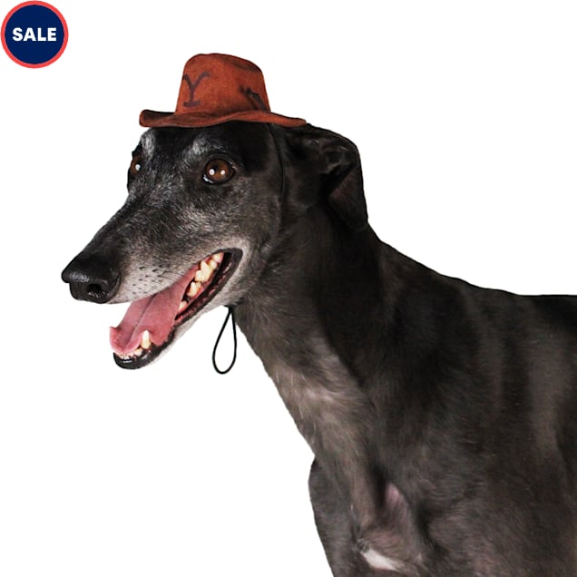 YELLOWSTONE Cowboy Dog Hat Small Medium Brown Petco