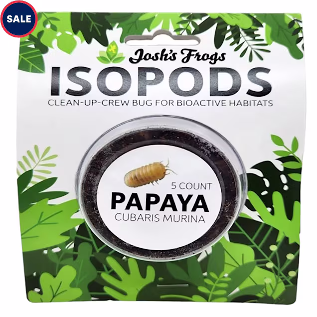 Assorted Isopod Culture, Count of 5 - Carousel image #1