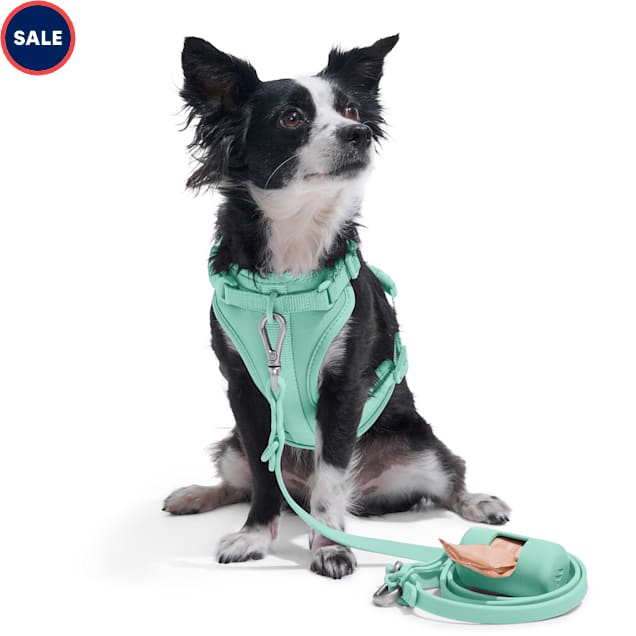 Wild One Cushioned Harness Seafoam X Small