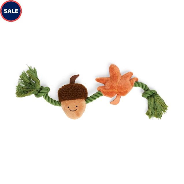 Leaps Bounds Small Acorn Rope Squeaky Dog Toy