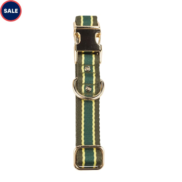 Harry Barker Green Striped Small Dog Collar Eco Friendly