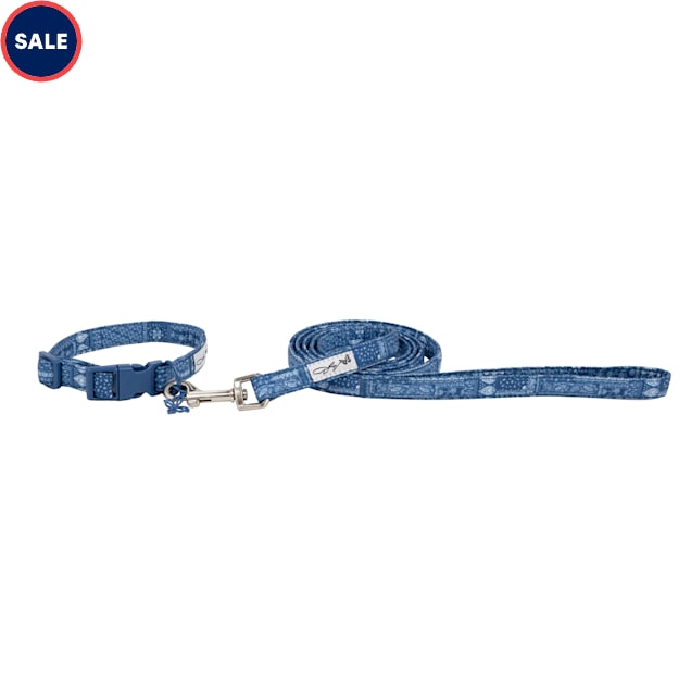Doggy Parton Blue Paisley Leash Collar Set Pet Accessories X Small Petco