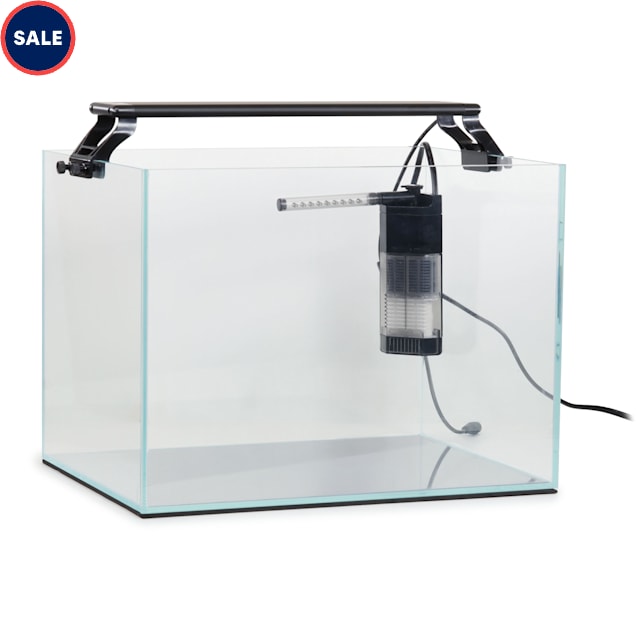 AquaZen Rimless Desktop Aquarium Kit 16 L X 12 W X 12 H 10 Gallon Petco