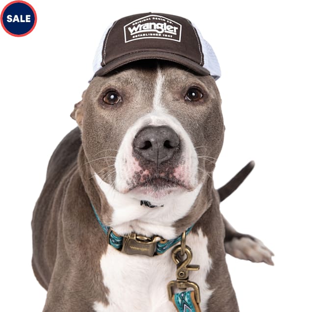Wrangler Logo Baseball Cap Dog Apparel X Small Small Brown Petco