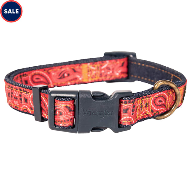 Petco small dog collars top