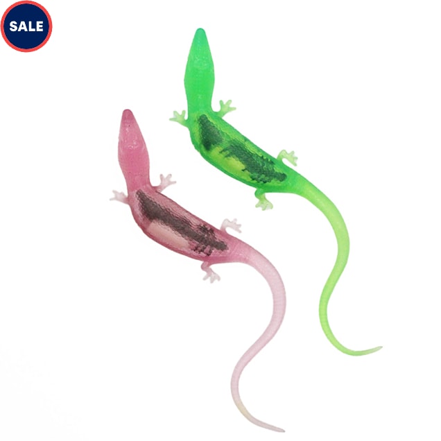 Petco lizards on sale