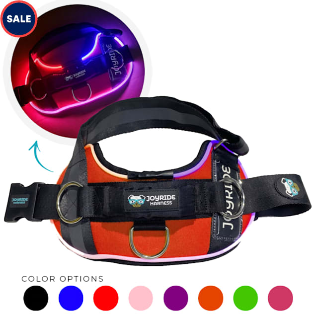 Joyride Harness LED Light Up Dog Harness 2.0, Large, Orange Petco