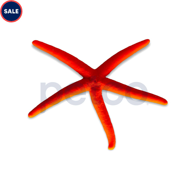 Red Linckia Star, Medium - Carousel image #1