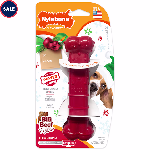 Nylabone Power Chew Holiday Bone Chew Toy Beef for Dogs Up to 35 lbs., Medium - Carousel image #1