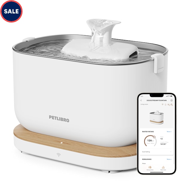 Petco cat fountain 2025