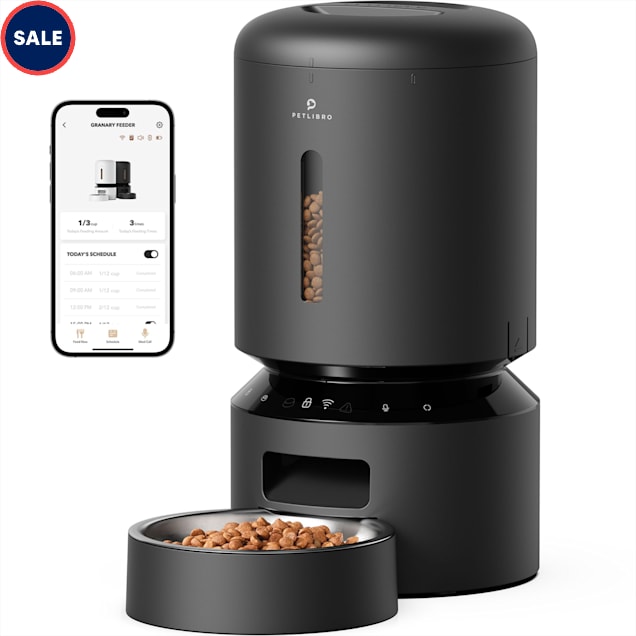 Petco cat feeder cheap