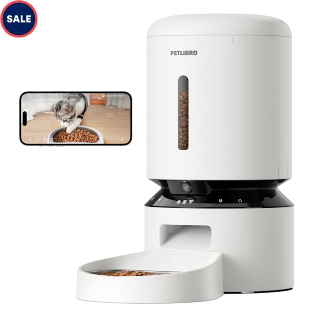 Cat feeder petco online