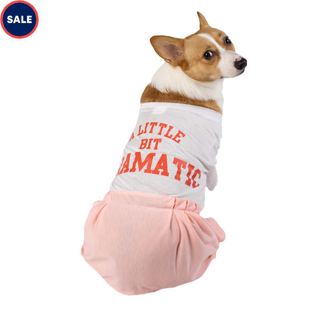 Mean Girls Graphic Dog Dress Large White Pink