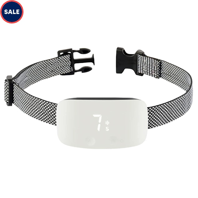 Citronella bark collar petco online