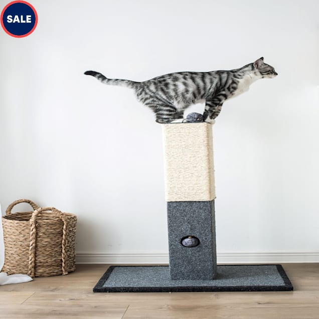 Petco cat scratching posts clearance