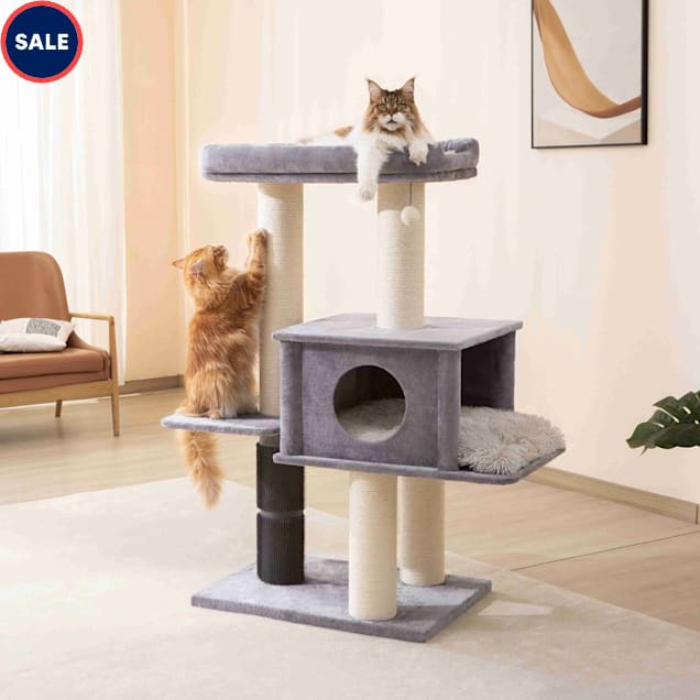Petco you and me cat tree hotsell