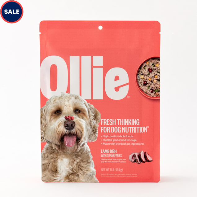 Ollie Fresh Lamb Dish with Cranberries Dog Food, 1 lb. - Carousel image #1