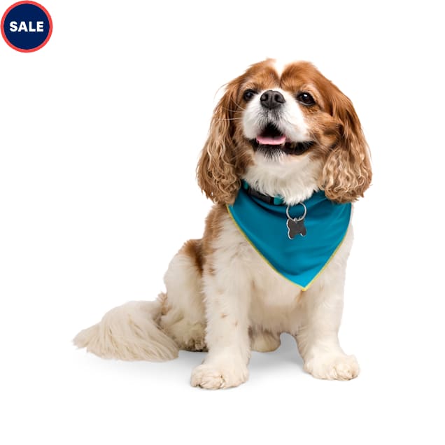 YOULY Cooling Reversible Dog Bandana, Reversible Wave/Blue, X-Small/Small - Carousel image #1