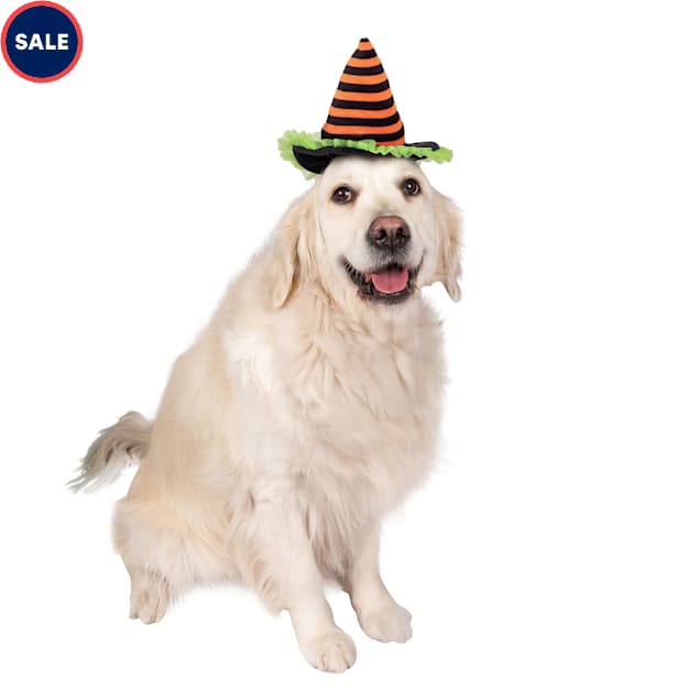 Lexington Road Halloween Witch Hat for Dogs, Small/Medium, Black/Orange - Carousel image #1