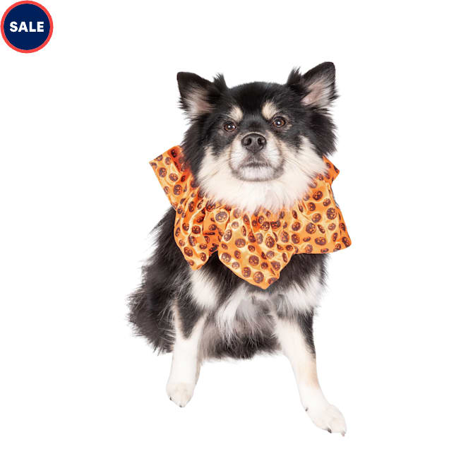 Lexington Road Halloween Pumpkin Scrunchie for Dogs, Small/Medium, Black/Orange - Carousel image #1