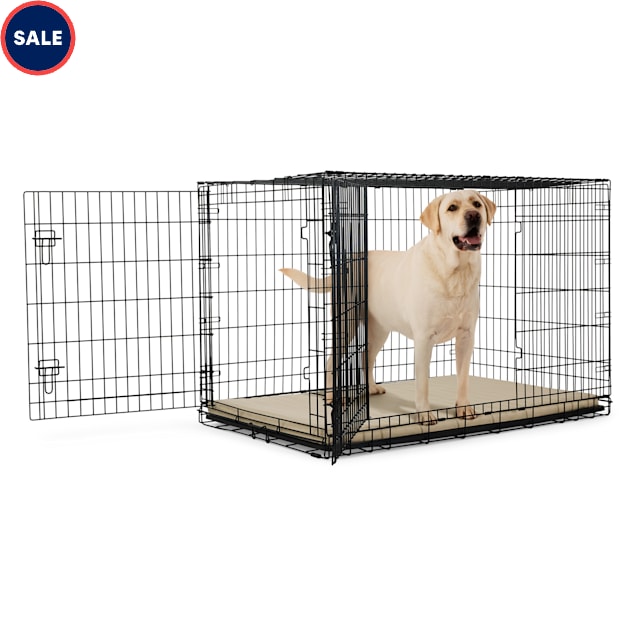 EveryYay Ultra Tough 2-Door Folding Dog Crate, XX-Large, 49.3" L X 29.81" W X 32.29" H - Carousel image #1